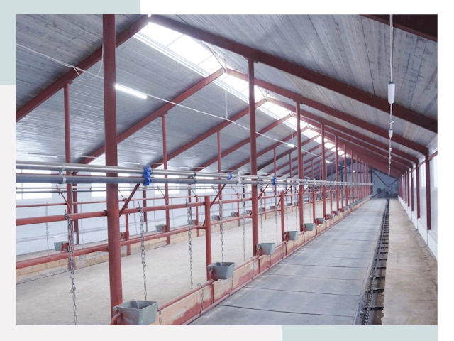 Строительство коровников в Кронштадте от 626 руб.