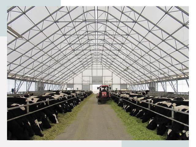 Тентовые коровники в Кронштадте от 626 руб. - Надежно и доступно