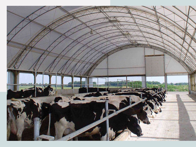 Тентовые коровники в Кронштадте